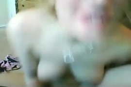 Adolescente mignonne se masturbe pour un show webcam.